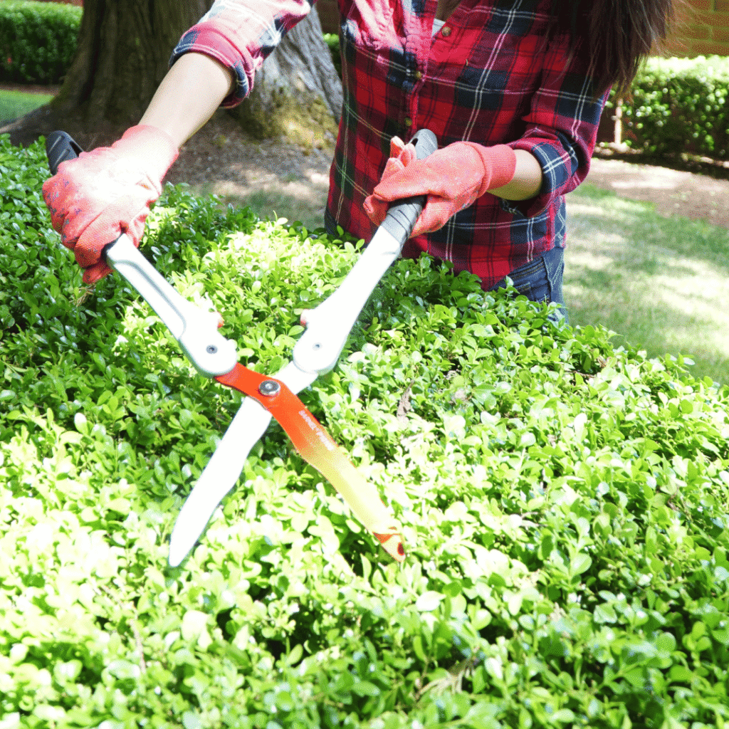 Corta arbustos P1010S