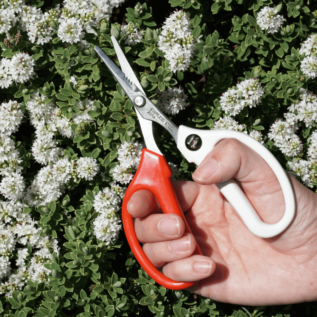 Tijeras de jardín B3200