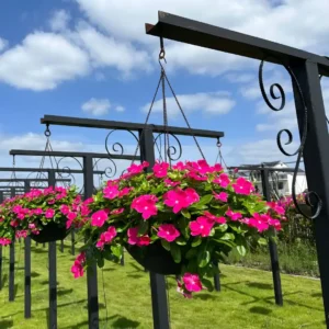 Vinca Cora Cascade XDR Bright Rose