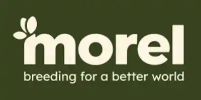 Morel Logo