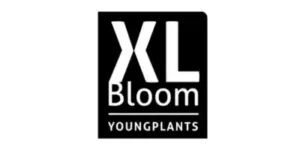 XL bloom logo